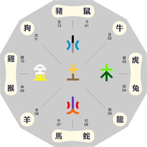 12生肖五行屬性